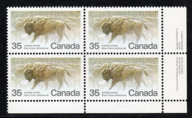 1981 Canada SC# 884 LR - Canadian Endangered Wildlife - Plate Block M-NH # 3007d