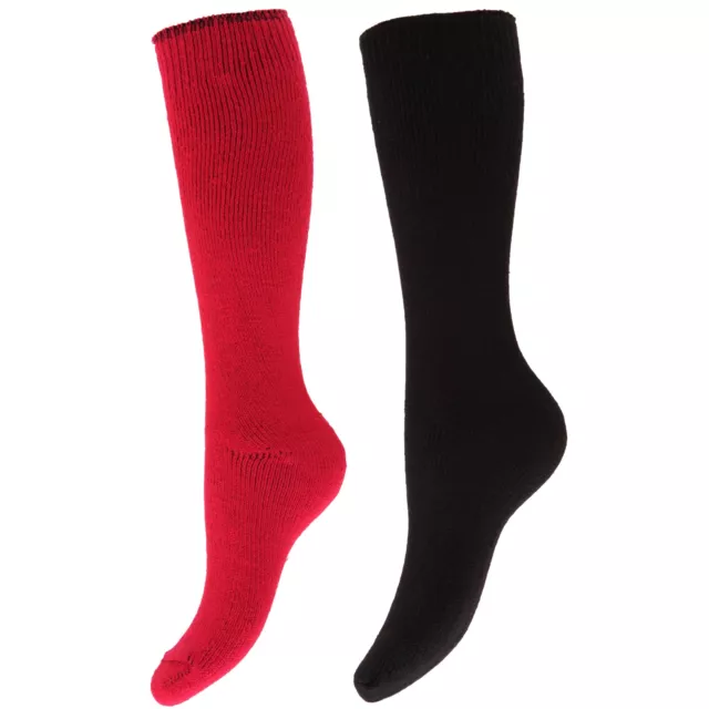 Womens/Ladies Thermal Winter Wellington/Welly Boot Socks (2 Pairs) W259