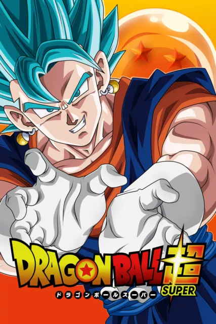 Dragon Ball Super Poster Goku and Vegeta SSJ Blue 18inx12 in Free Shipping