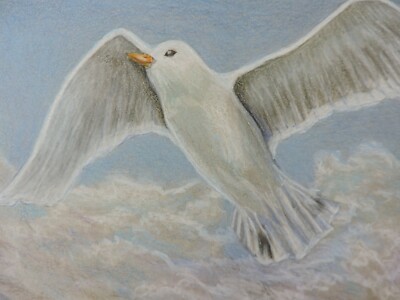 Soaring High, Original 9x12 Colored Pencil Drawing, Unframed, Bird 2