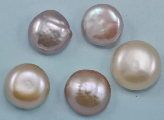 1x 14-15mm Mauve Pink Champagne Non-drilled  Coin Flat Disc Freshwater Pearls A