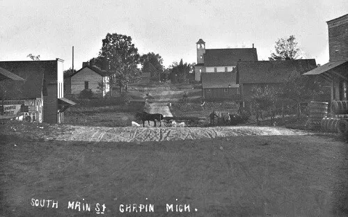 Main Street View Chapin Michigan MI Reprint Postcard