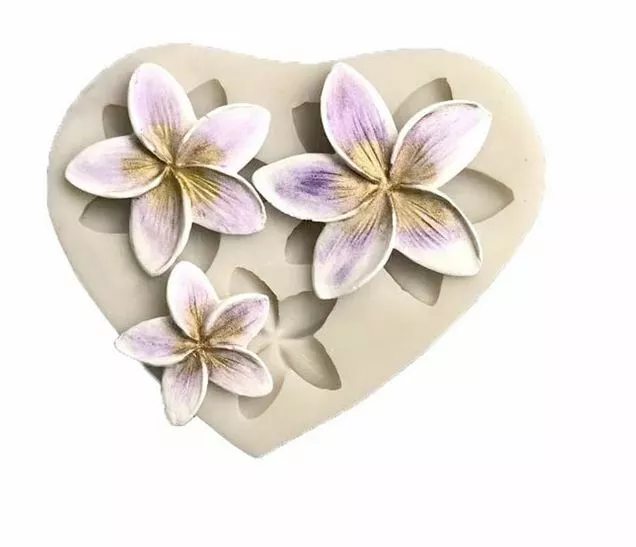 Frangipani Mold Flower Silicone Mould DIY Chocolate DIY Resin Epoxy Craft