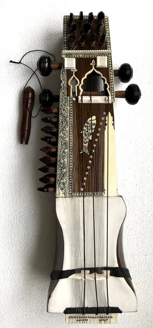 Sarangi Handmade Professionnel Deluxe Qualité Kalawati Sarangi Unique