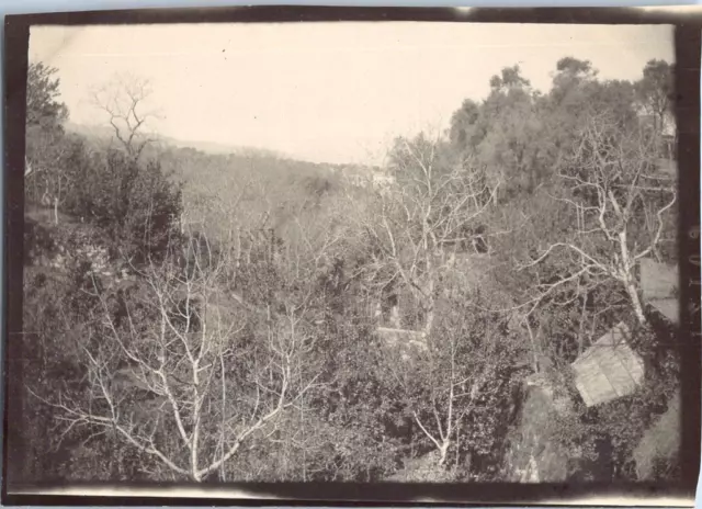 Italie, vue de Sorrente  Vintage print,  Tirage citrate  6x9  Circa 1900