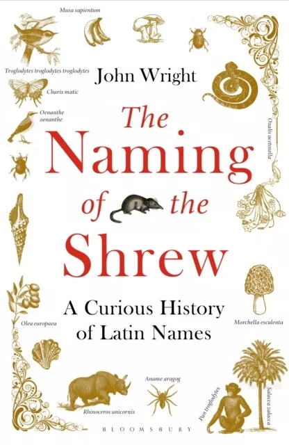 The Naming of the Shrew 9781408865552 John Wright - Free Tracked Delivery