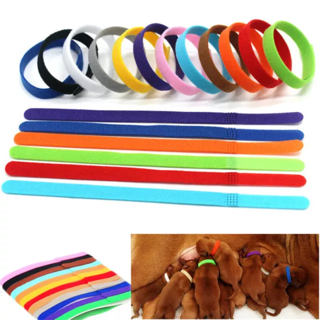 12 Newborn Whelping Id Bands Pet Puppy Kitten Identification Adjustable Collars