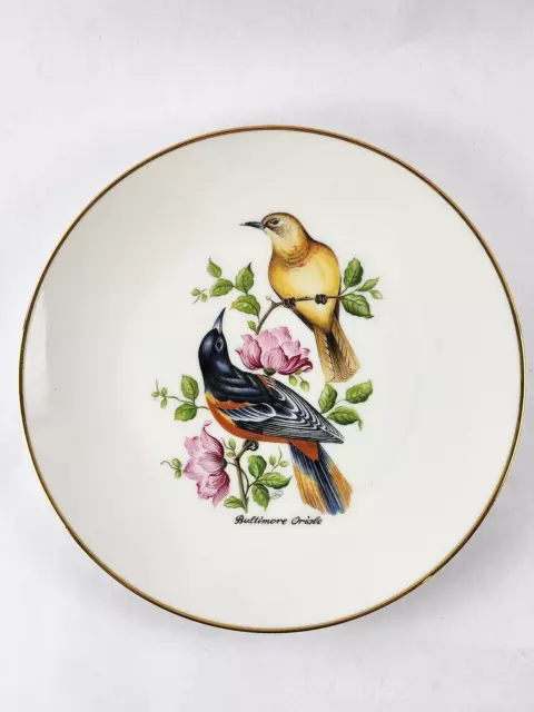 Vintage Bareuther Waldsassen Bavaria Germany Bird Plate Baltimore Oriole #144