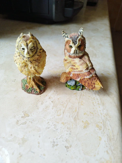Chouettes De Jardin En Pierre - France