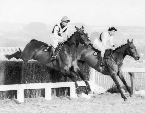 Irish Jockey Pat Taaffe On Arkle On His Way To Winning  OLD PHOTO