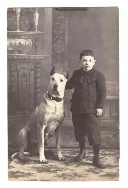 Foto Ak Hammelburg Niño Con Enorme Perro Um 1915