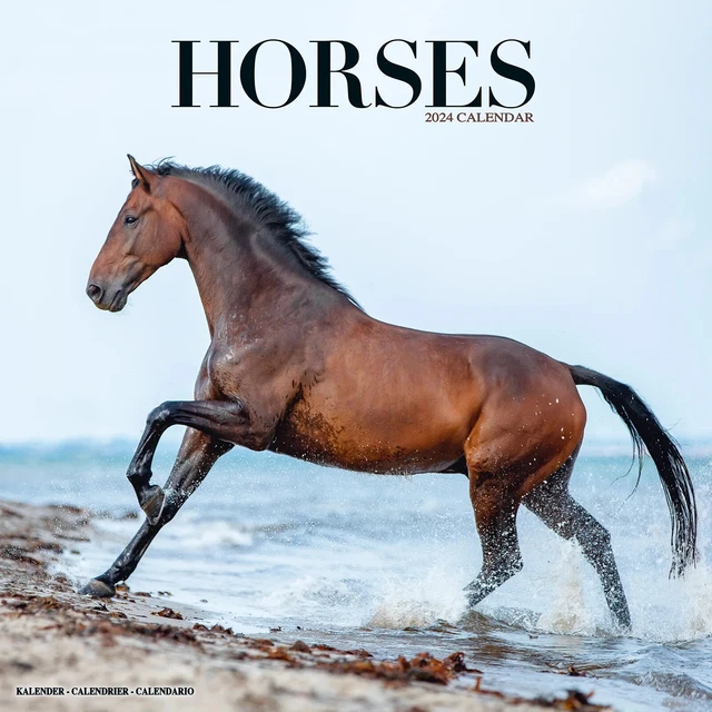 CALENDRIER 2024 CHEVAUX EUR 15,90 PicClick FR