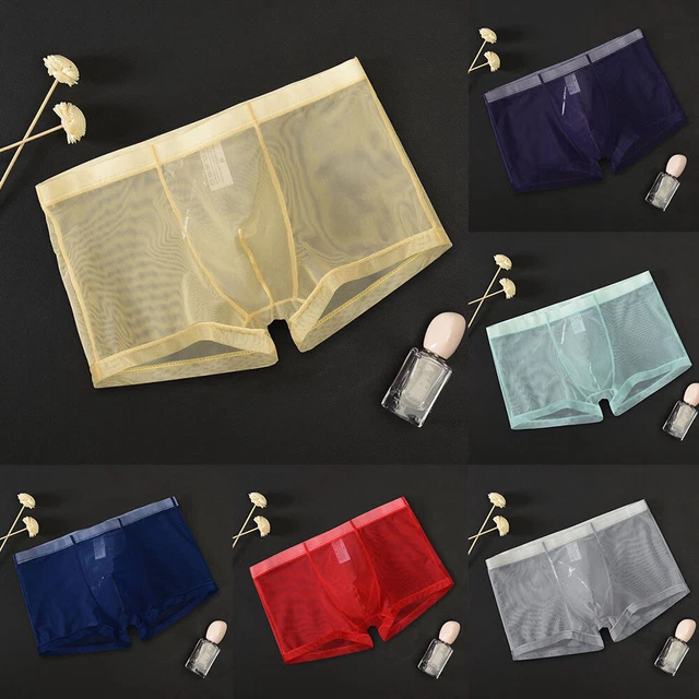 MENS SEXY SEE Through Boxer Briefs Sheer Mesh Underwear Shorts Trunks