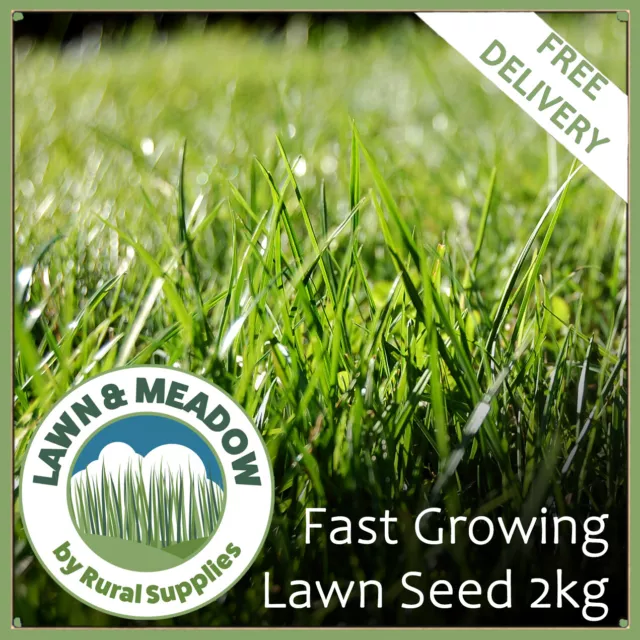 Fast Growing Lawn Grass Seed 2KG- RAPID QUICK GROWTH NEW LAWNS OR PATCH & REPAIR