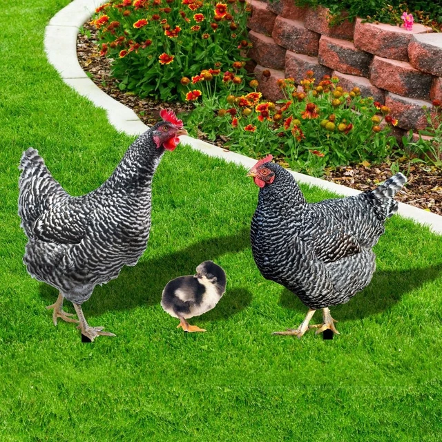 Freien Hähnchens kulptur Realistisch Acryl Hahn Statuen Hähnchen dekorationen