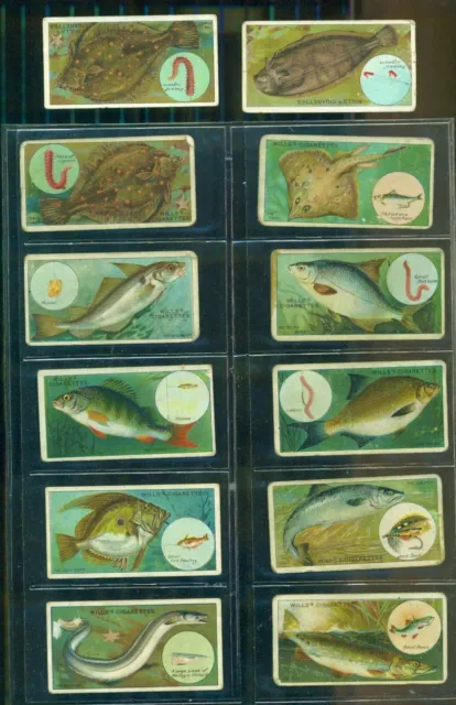 Wills's - Fish And Bait Series - Cigarette Cards  Vintage  Part Set 12