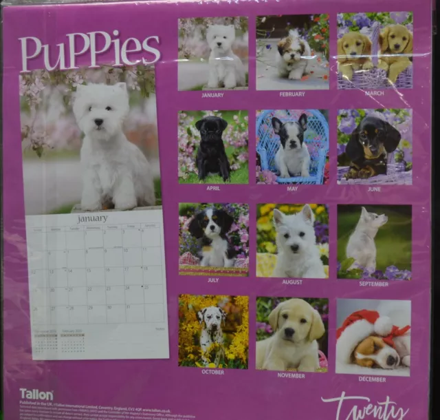 °°° calendrier 2020 twenty puppies 2