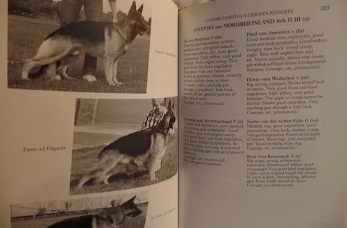 German Shepherd Dog Brian Wootton Breeding Working Bloodlines Showing 1988 Book 7