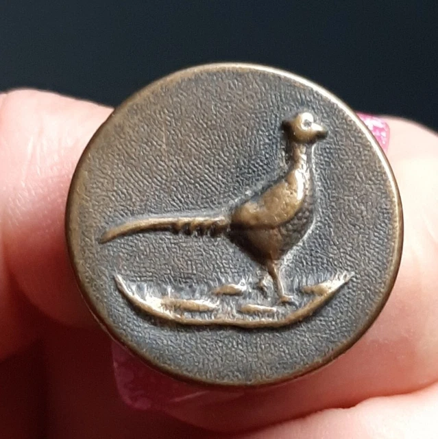 ANCIEN BOUTON . CHASSE VENERIE. CHASSEUR ET SON CHIEN. 26MM