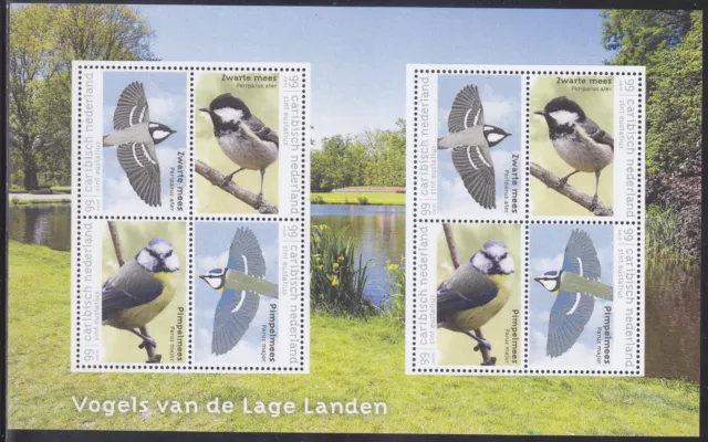 Caribbean Netherlands Issue 2018 (MS 37) Birds