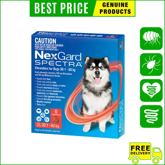 NEXGARD SPECTRA 30.1 to 60 Kg RED Heartworm Flea Control 6 Chews for Dogs