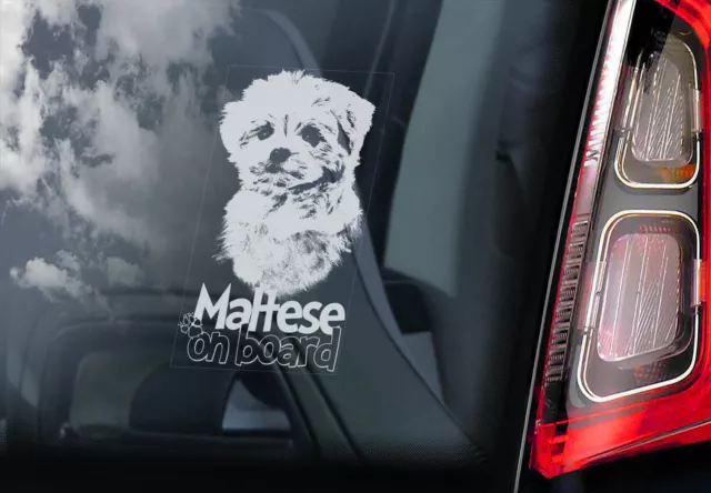 MALTESE Car Sticker, Toy Dog Window Sign Bumper Decal Gift Pet - V01