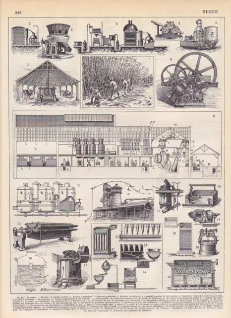 Zuckerherstellung  Zuckerfabrikation Maschinen HOLZSTICH von 1897