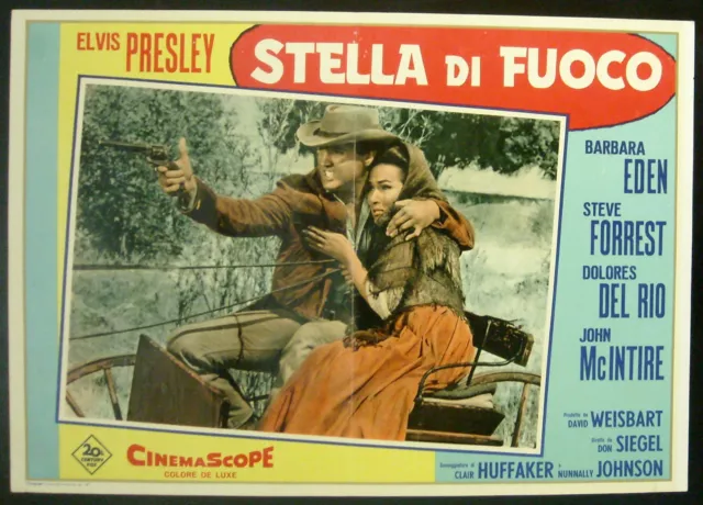 CINEMA-fotobusta STELLA DI FUOCO elvis presley, eden, forrest, SIEGEL