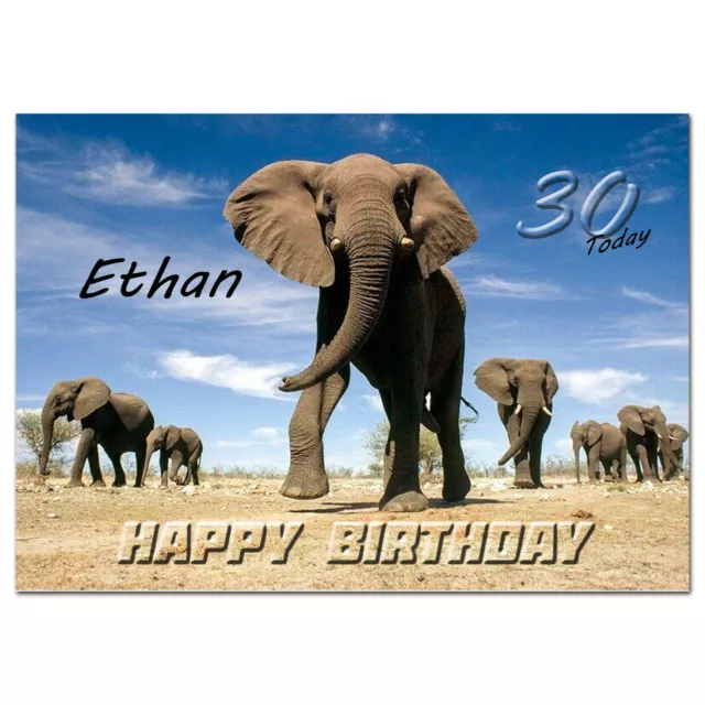 b418; Great Personalised Birthday card; *ANY name age text*;  Elephant Family