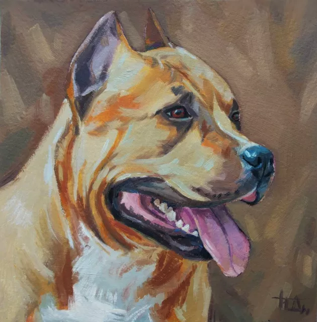 Original oil painting DOG American Staffordshire Terrier 6x6 inch hand painted