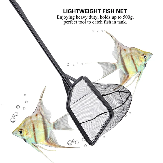 Lightweight Fish Net Perfect for Catching &Releasing Small Fish in Tank 3