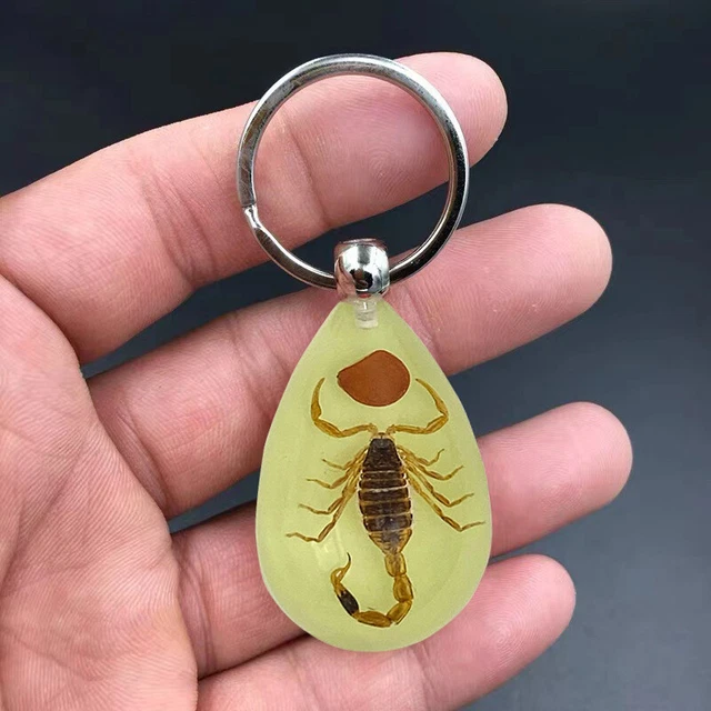 Keychain Decor High Strength Decorative Keychain Ants Scorpion Pendant Party