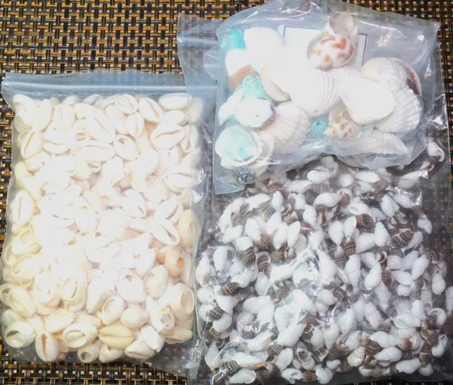 475g mixed beads, SHELLS mix. Various seashell beads. Job lot bulk clearance