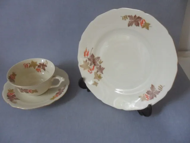 Antik C.T. Altwasser Schlesien Porzellan Porcelain Kaffeegedeck 3 tlg Vintage