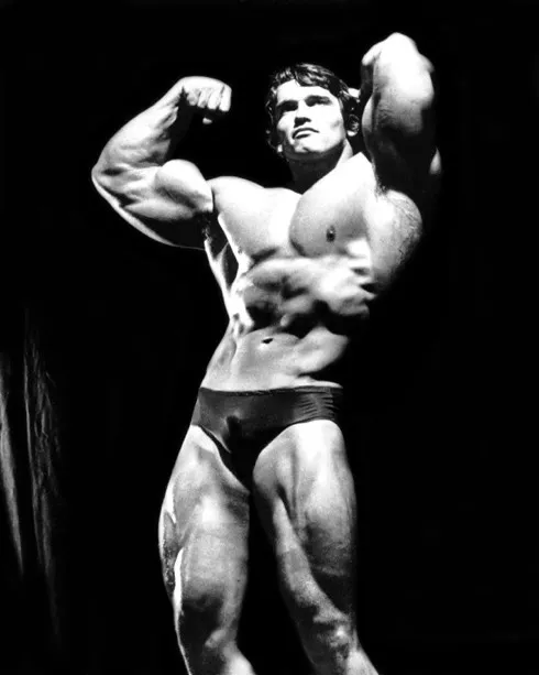 Famous Bodybuilder ARNOLD SCHWARZENEGGER 8x10 Photo Celebrity Actor Print Poster