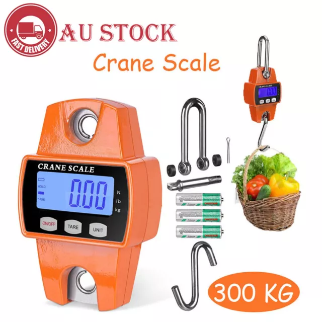 0.05Kg-300kg Mini Crane Scale Portable LCD Digital Electronic Hook Hanging Scale