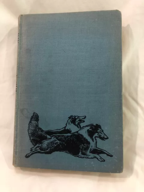 A Dog Named Chips by Albert Payson Terhune 1931 1st G & D Edition Hardcover