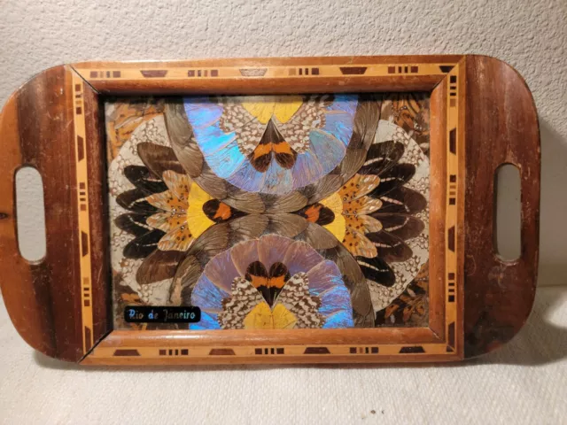 Butterfly Wing Wood Inlay Serving Tray Rio de Janeiro Brazil 13.5” STUNNING