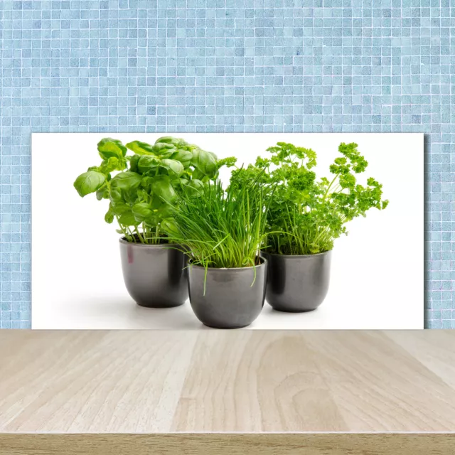 Tulup Panneaux De Cuisine Sur Verre - 100x50cm - Herbes En Pots