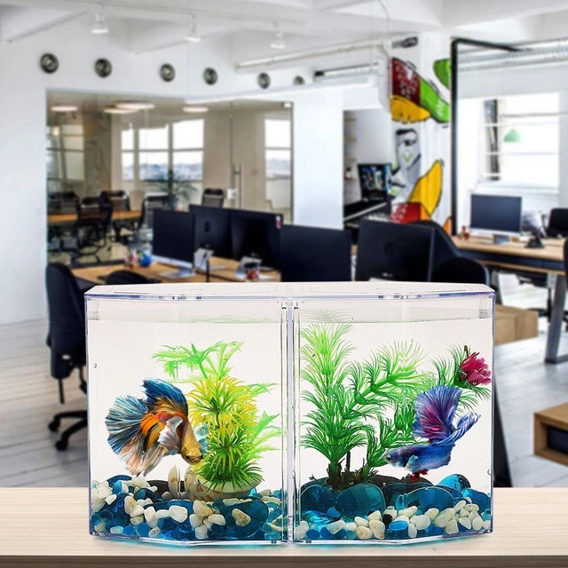 Acrylic Fish Tank Two Split Aquarium Fish Bowl Transparent Breeding Isolation