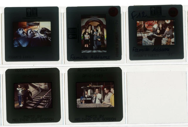 Lot 05 ektas slides originaux  Addams Family Anjelica Huston Christopher Lloyd