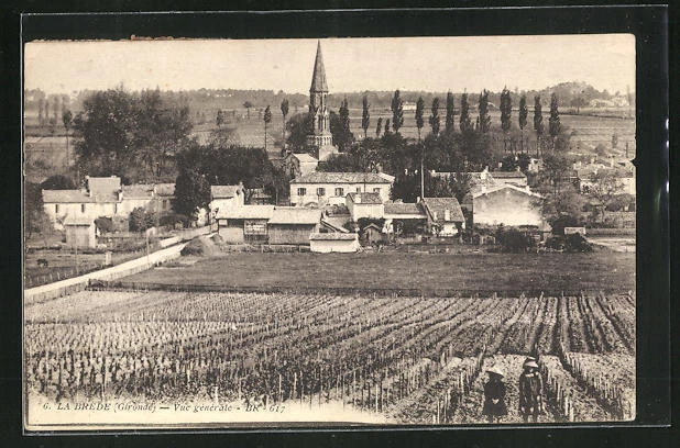 CPA La Brede, Vue générale