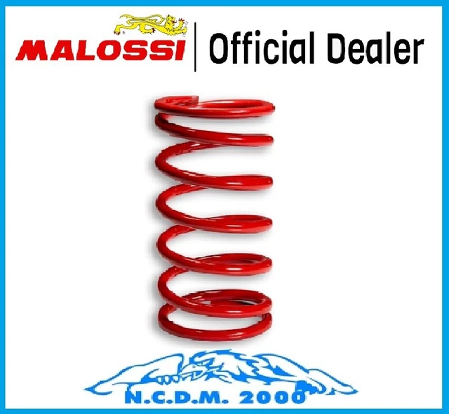 Test Et Avis Sur Le Variateur Malossi Pour Forza 125 - TNT Review