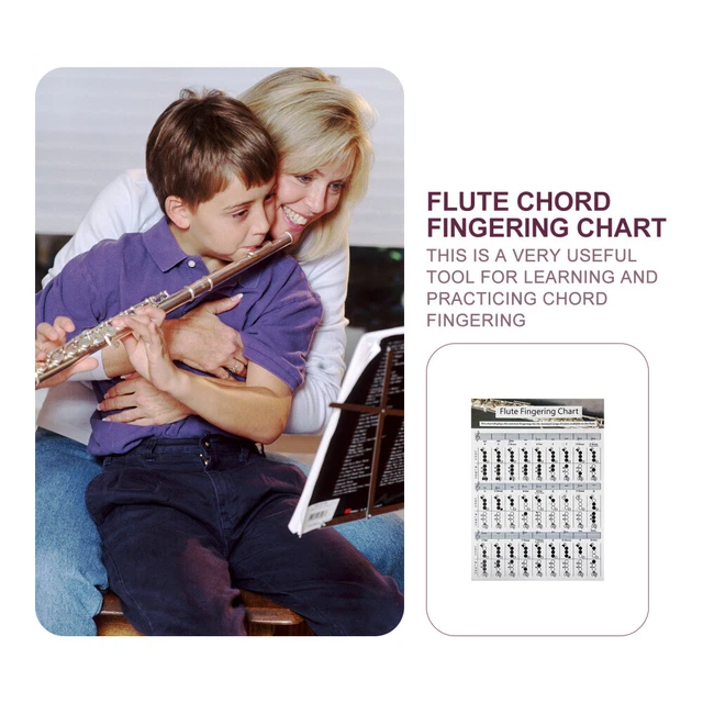 Flute Guide FLUTE LEARNING GUIDE Chart Chord Technique Improvement £19.39 - PicClick UK