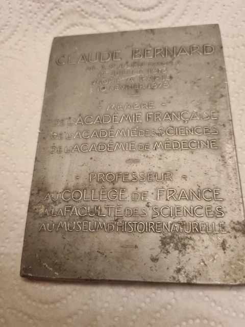 Médaille Française "Justitia" Par Borrel - Argent Plaqué, Année 1994 - Collection