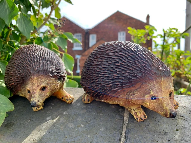 TWO Hedgehogs Garden Ornament Hoglet Sculpture Animal Hedgehog statue Figure NEW