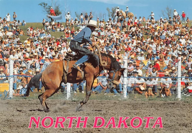 North Dakota Rodeo Bronco Cowboy Western Calf Roping Riding Vtg 6x4 Postcard R3