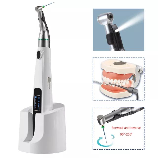 Dentaire 2 in 1 Dental LED Endo Motor Contra Angle Built in Apex Locator 3