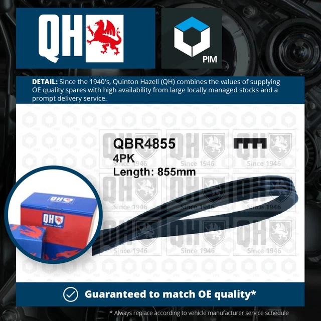 4 RIB MULTI V Drive Belt fits HYUNDAI COUPE GK, RD 2.0 01 to 09 QH ...