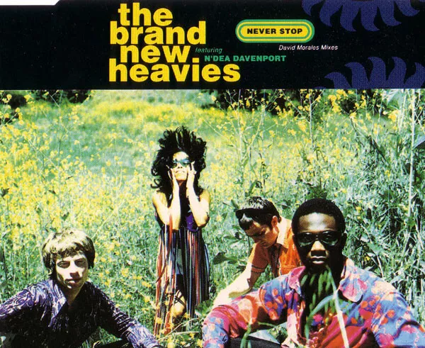 The Brand New Heavies Featuring N&apos;Dea Davenport - Never Stop (David Morales